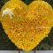 Corazon de 600 rosas Amarillas